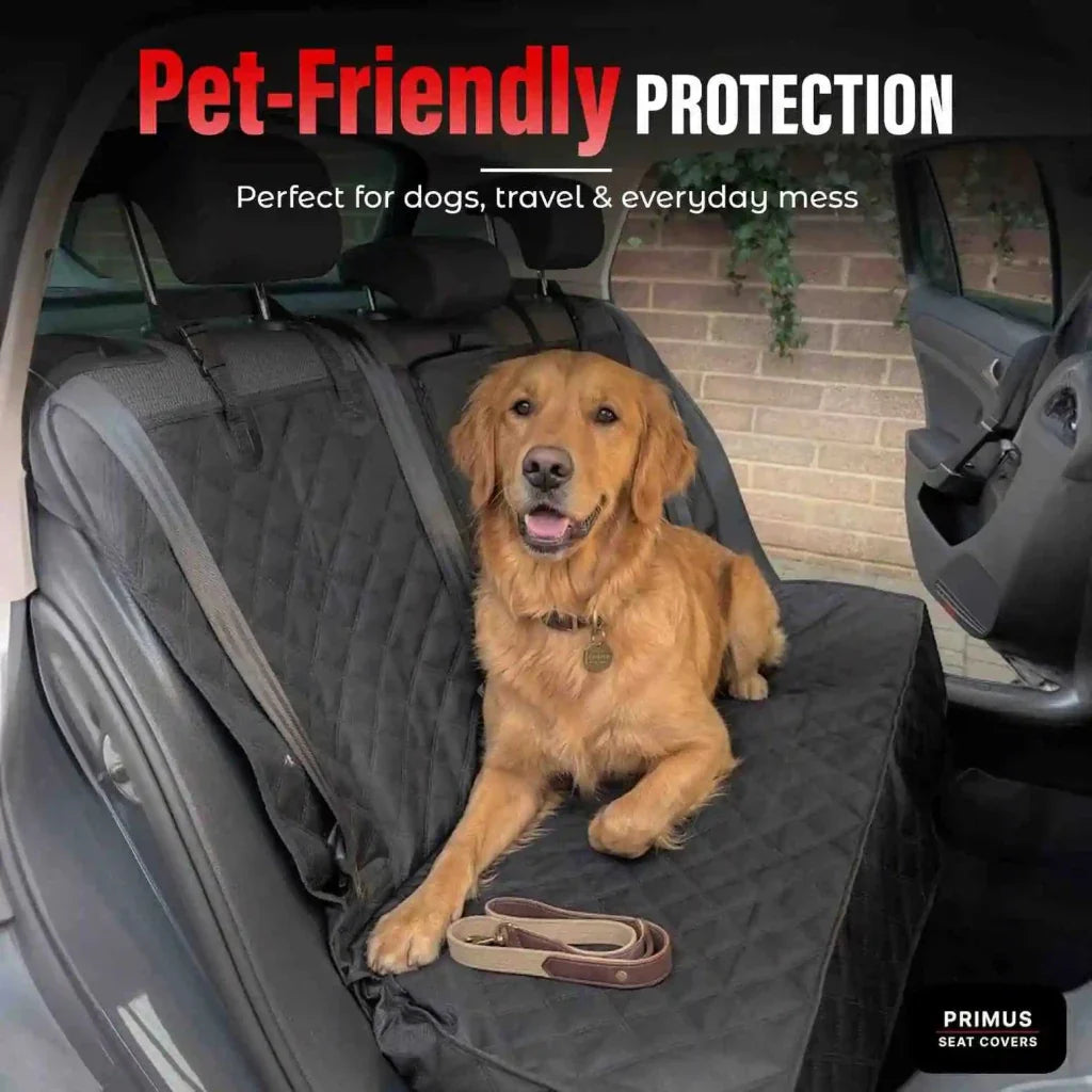 Car rear seat protector with quilted cover, dog sitting on the back seat
